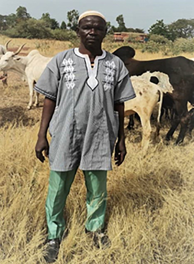 Photo of Mr. Zakaria and his cows