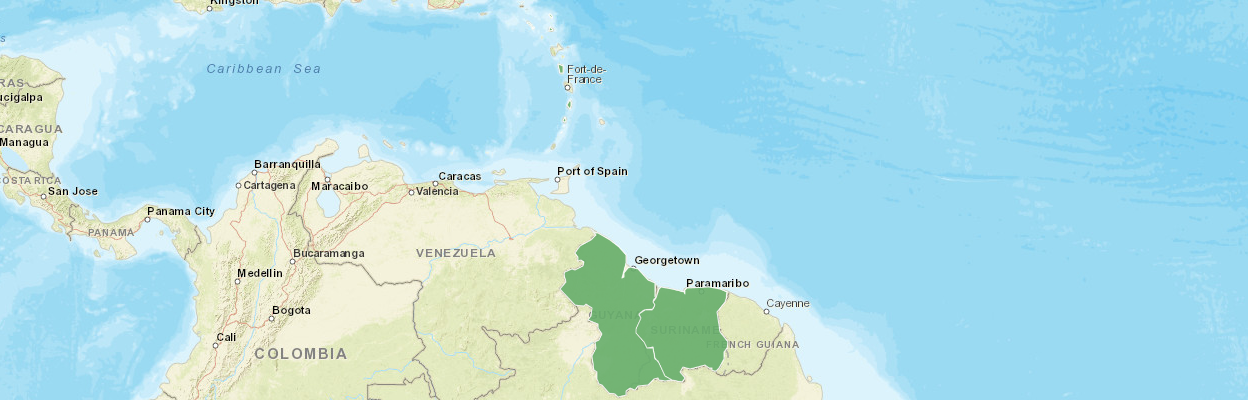 Map of ESC region with Guyana, Suriname, St. Kitts, Antigua, Dominica, St. Lucia and St. Vincent highlighted