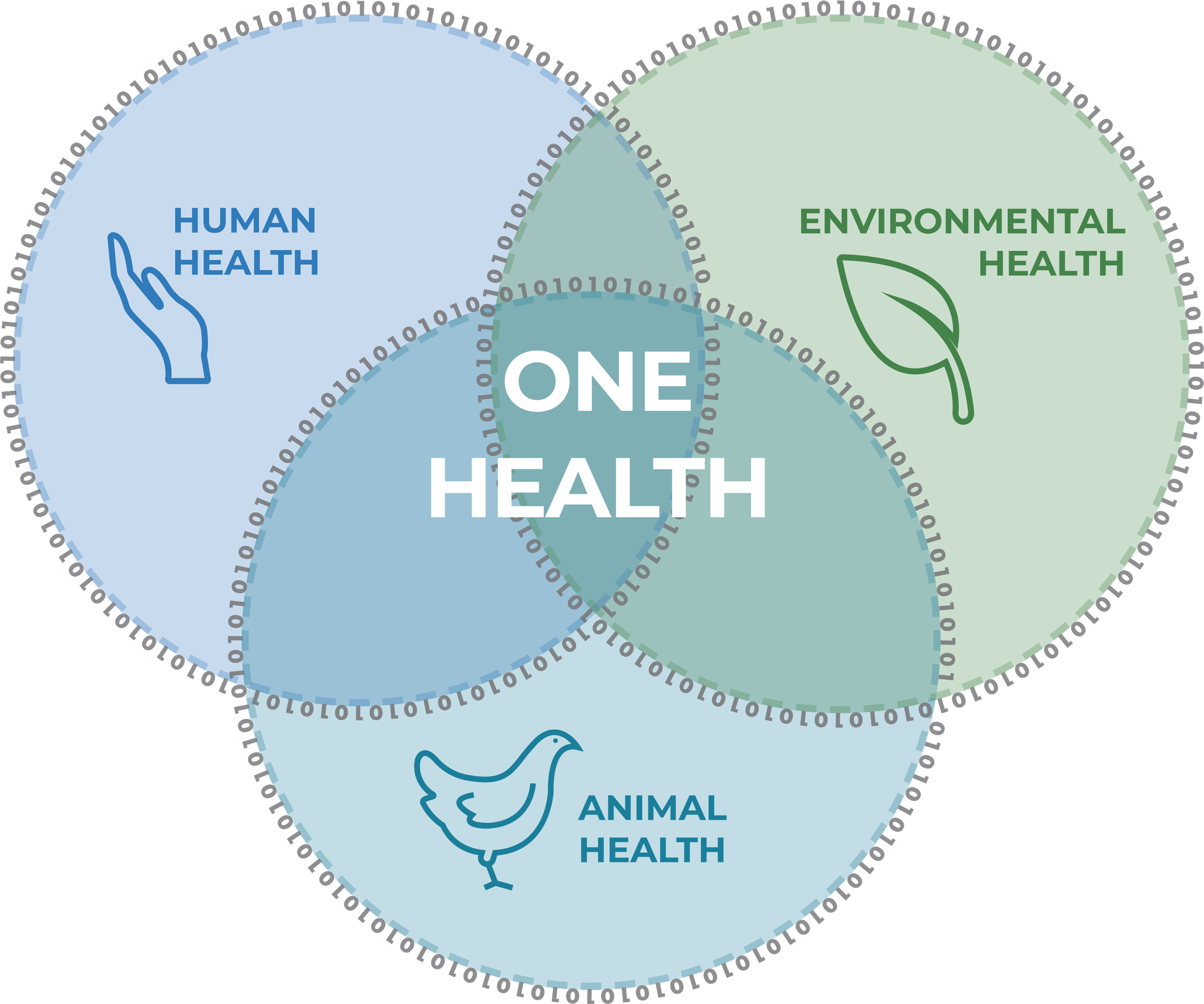 Three connected circles showing areas of One Health