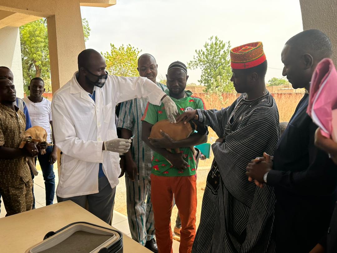 Health officials vaccinating an animal during a rabies vaccination campaign