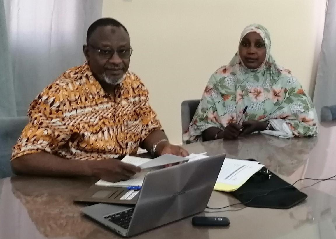 Adakal Aboubakar, CHISU Technical Advisor and Mrs. Adamou Yaro Fatiy, Directorate of Statistics, Ministry of Health (MoH), Niger (Photo: Diby Konan)