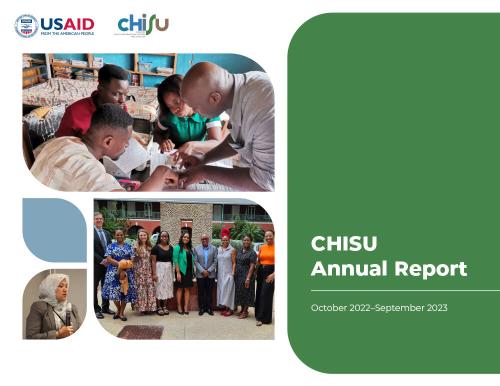 CHISU Y3 Annual Report