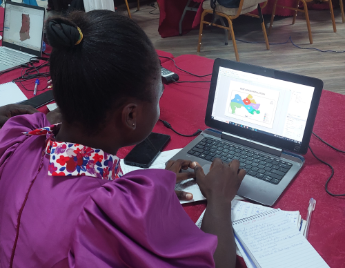 A woman looks at a computer screen during a gDMP training